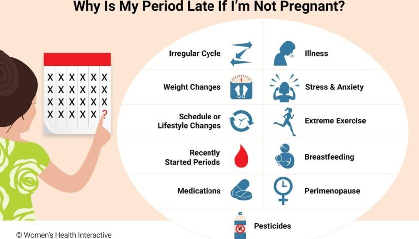 No Menstrual Period but Not Pregnant? 7 Possible Reasons Explained