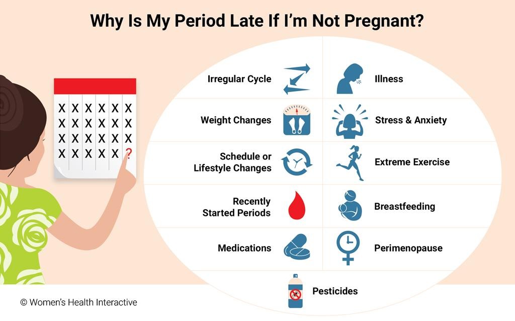 No Menstrual Period but Not Pregnant? 7 Possible Reasons Explained